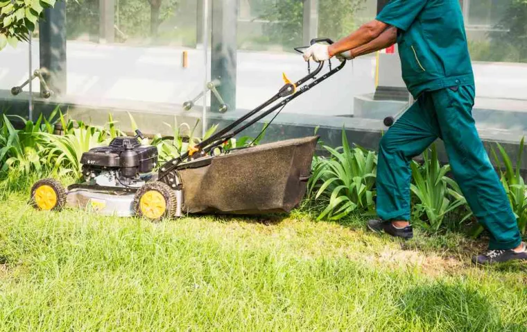 Devis pour la tonte de pelouse par un professionnel, Annecy, TERR'PAYSAGE