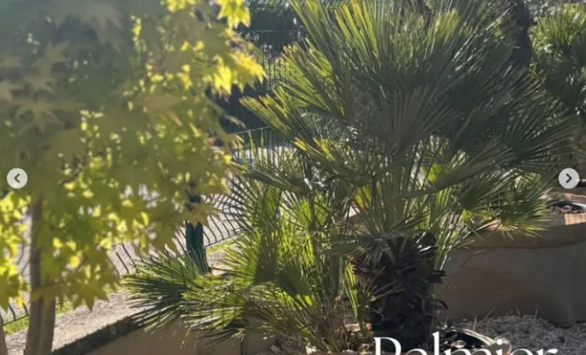 Plantation de végétaux pour apporter du caractère dans vos jardins à Annecy, Annecy, TERR'PAYSAGE